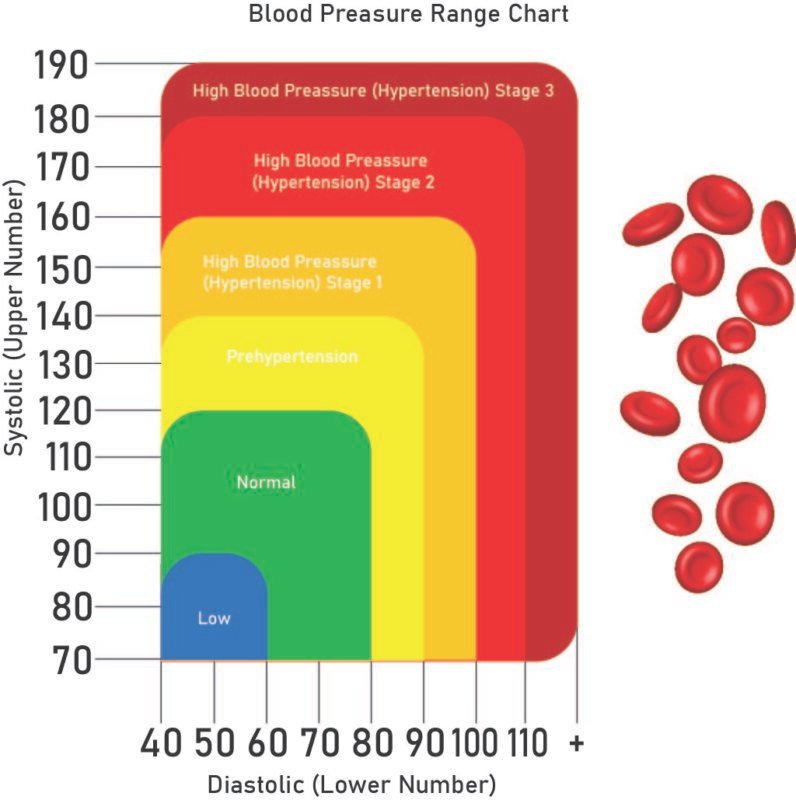 WHAT DOES MY BLOOD PRESSURE READING MEAN visual data 4